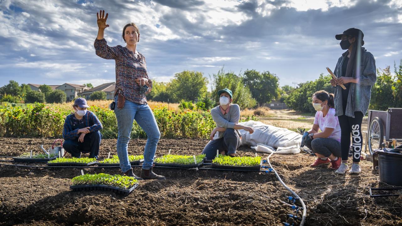 People Turned To Gardening For Stress Relief Food Access During